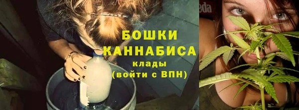 соль ск Осташков