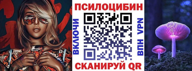 Псилоцибиновые грибы Cubensis  Купить  Ессентуки 